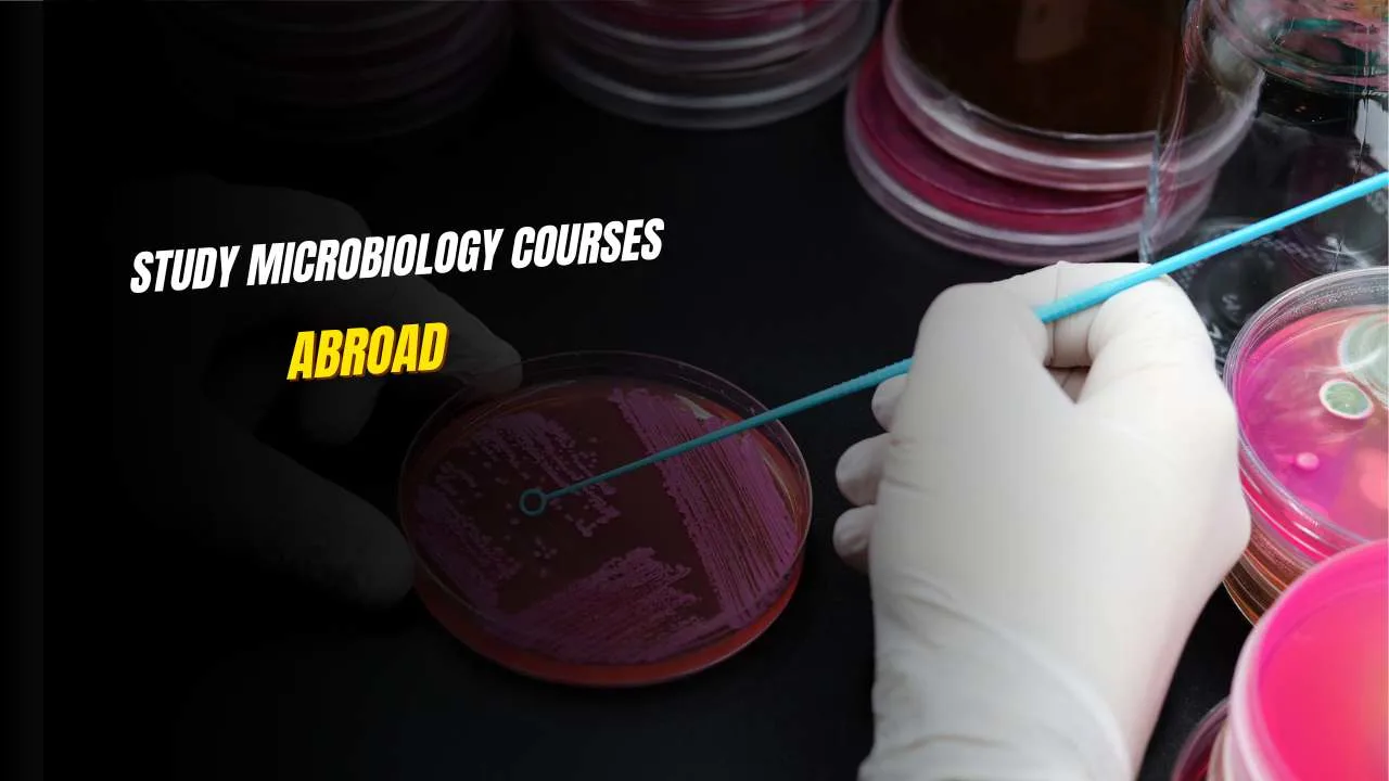 Study Microbiology Courses Abroad .
