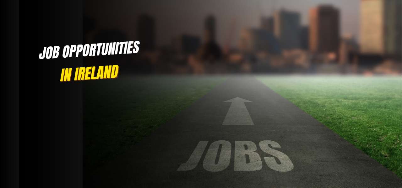Job Opportunities in Ireland After Studying