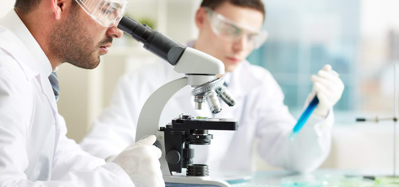 What Will You Actually Study in a Master of Pharmacy in Australia