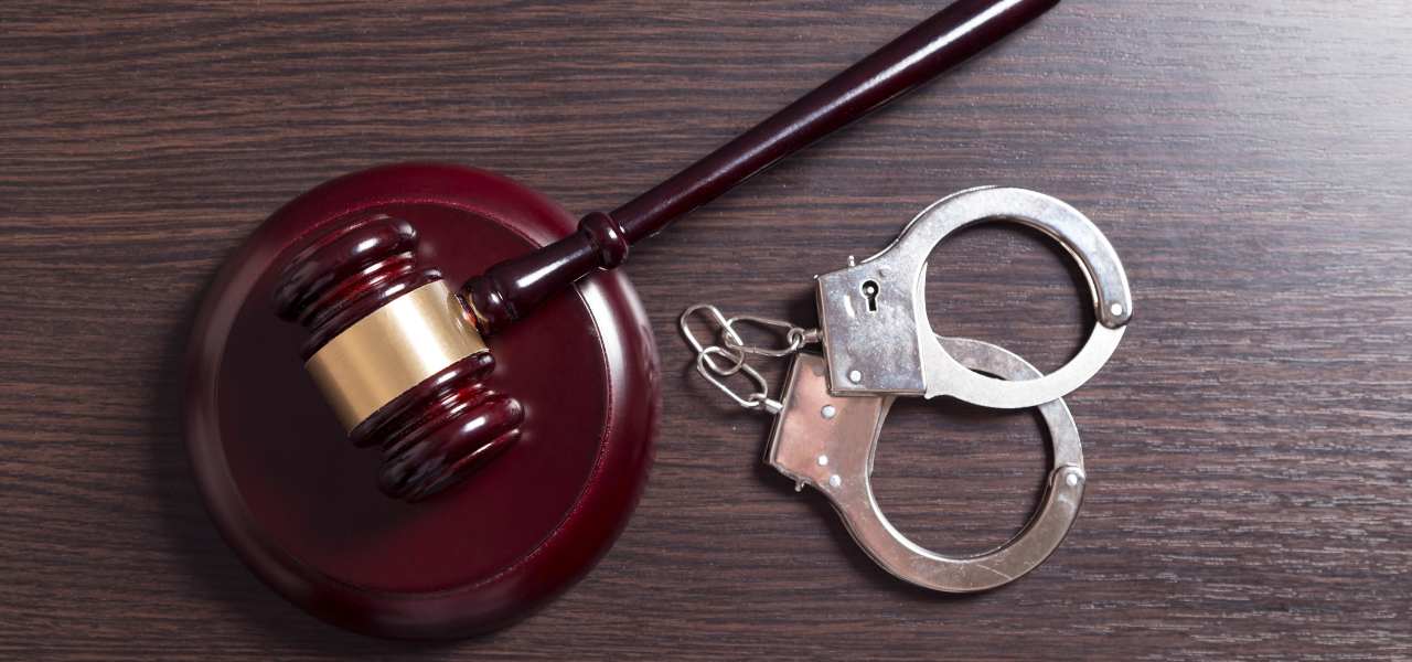 What Degree Can You Pursue to Study Criminal Law Abroad
