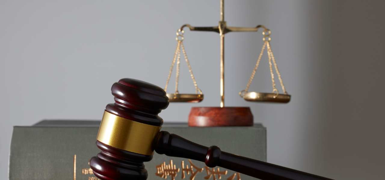What Will You Actually Study in a Criminal Law Programme Abroad